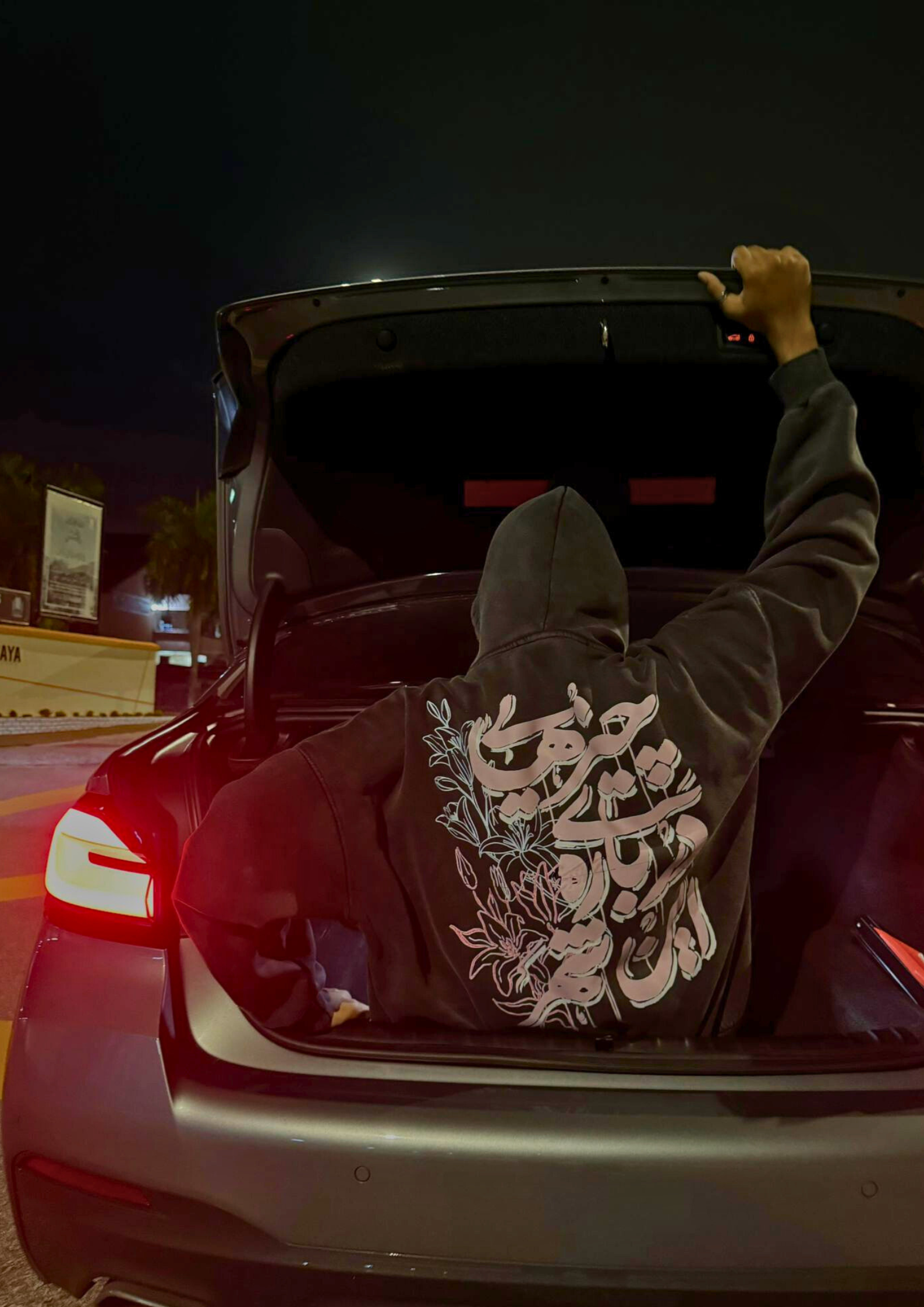 Heart of Persia photo 5